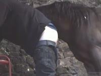 Horse dick fucking a gay's butthole